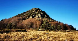 Le Mont Gerbier-de-Jonc