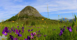 Le Mont Gerbier-de-Jonc