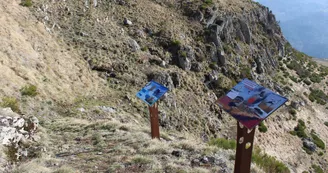 Les coulées basaltiques Les coulées basaltiques