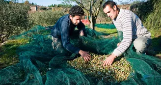 Domaine Le Pigeonnier