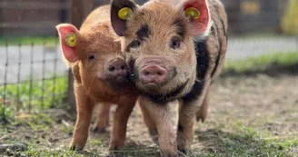 Parc animalier de Lussas