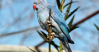 Parc animalier de Lussas