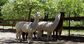 Parc animalier de Lussas