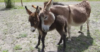 Parc animalier de Lussas