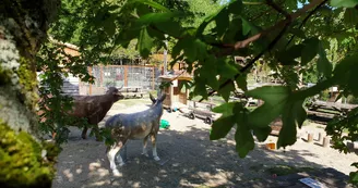 Parc animalier de Lussas