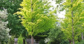 Jardin Paysager la Terre Pimprenelle Jardin Paysager la Terre Pimprenelle