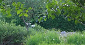 Jardin Paysager la Terre Pimprenelle Jardin Paysager la Terre Pimprenelle