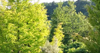 Jardin Paysager la Terre Pimprenelle Jardin Paysager la Terre Pimprenelle