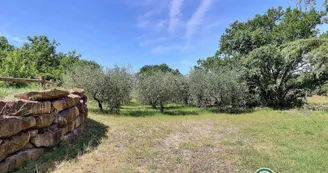 Domaine de Chardiris - Les Romarins