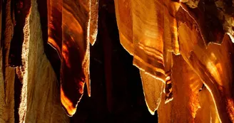 Grotte de la Madeleine