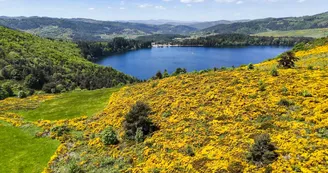 Le Lac d'Issarlès