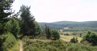 Suc du Chapelas Suc du Chapelas