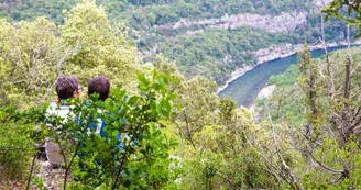 Tentes Lodge sur pilotis au Camping Mille étoiles