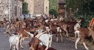 Gîte d'étape La Louisette