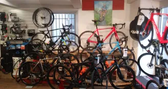 Tournon Cycles