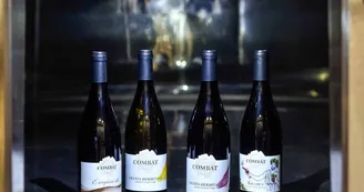 Domaine des Combat Domaine des Combat