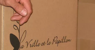 La Vrille et le Papillon La Vrille et le Papillon