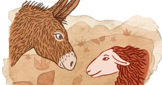 Ferme La Brebis Heureuse Ferme La Brebis Heureuse