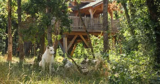 Les Cabanes Perchées du Safari de Peaugres