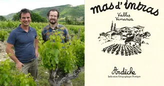 Wine gaming : jeu d'enquête sur les vins bio du Mas d'Intras