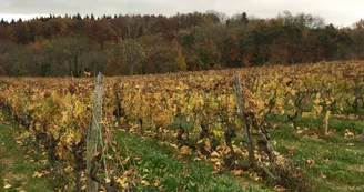 Le domaine des Bardes Le domaine des Bardes