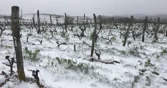 Le domaine des Bardes Le domaine des Bardes
