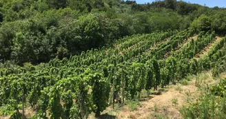 Le domaine des Bardes Le domaine des Bardes