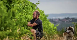 Le domaine des Bardes Le domaine des Bardes
