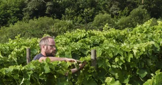 Le domaine des Bardes Le domaine des Bardes