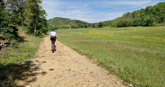Les vélos de Ferdinand