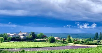 Villa L'Embellie, gîte 3 *, climatisation /grande piscine privée, 6-7 personnes SUD Ardèche