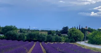 Villa L'Embellie, gîte 3 *, climatisation /grande piscine privée, 6-7 personnes SUD Ardèche