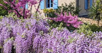 Jardin de Bésignoles Jardin de Bésignoles