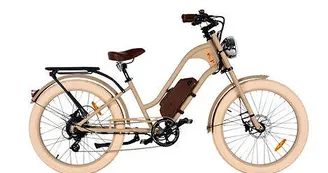 Location de vélos électrique vintage avec les bikes de papa - Journée