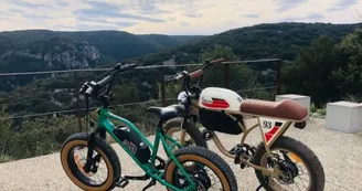 Location de vélos électrique vintage avec les bikes de papa - Journée