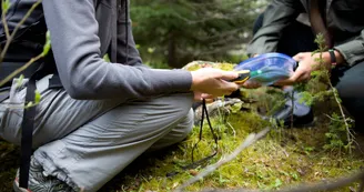 Géocaching en Berg & Coiron