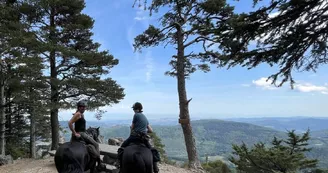 Activités équestres à la Maison des poneys Activités équestres à la Maison des poneys