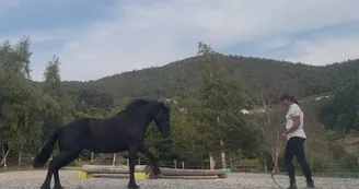 Activités équestres à la Maison des poneys Activités équestres à la Maison des poneys