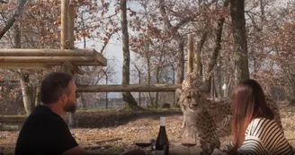 Les Huttes guépards du Safari de Peaugres