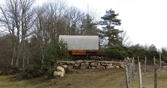 Calèche western Bergerie du Plateau