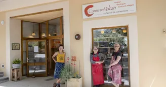 Comme un Volcan  - Cours et stages