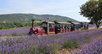 Maison de la Lavande Ardèche / Producteur-Distillateur & Musée