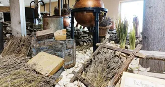 Maison de la Lavande Ardèche / Producteur-Distillateur & Musée
