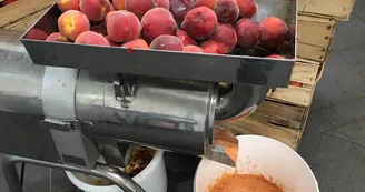Aux glaces de mon père par MEZIA Aux glaces de mon père par MEZIA