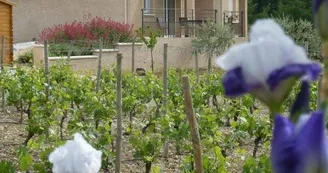 Gite Les Viogniers Gite Les Viogniers