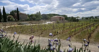 Gite Les Viogniers Gite Les Viogniers