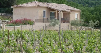 Gite Les Viogniers Gite Les Viogniers