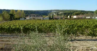 Gite Les Viogniers Gite Les Viogniers