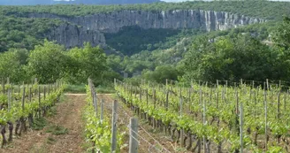 Gite Les Viogniers Gite Les Viogniers