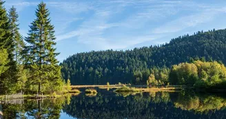 Le lac de lispach